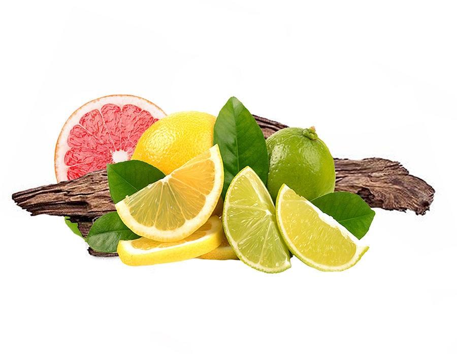 Dezinfekční aroma olej Light Citrus, 200 ml