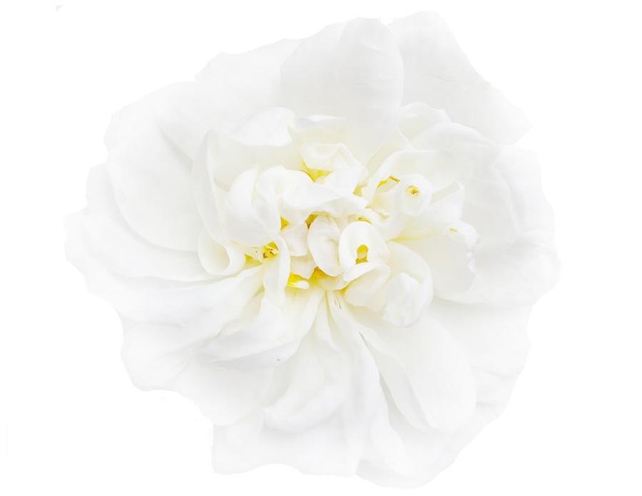 Dezinfekční aroma olej White Flower, 200 ml