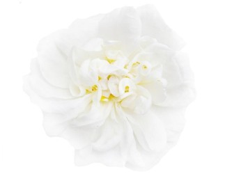 Dezinfekční aroma olej White Flower, 200 ml